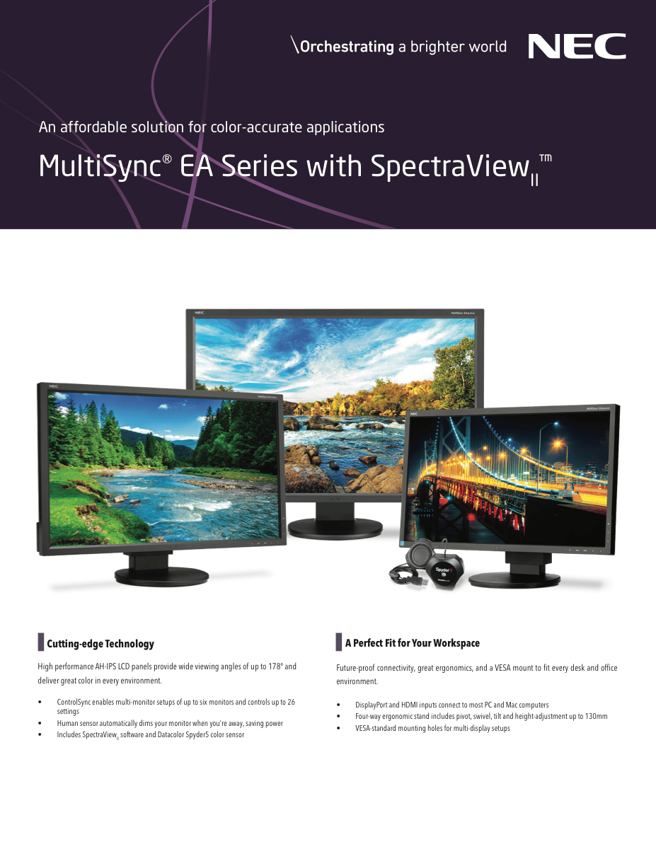 NEC MultiSync SpectraView EA244UHD-BK-SV official product image